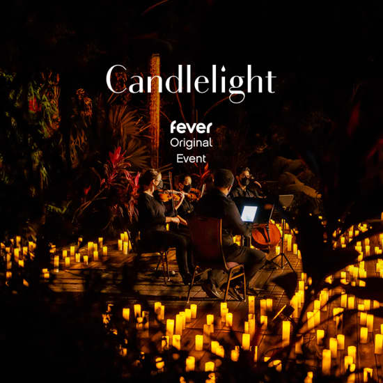 candlelight featured bee ed ac eadfb jMAHXW tmp